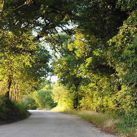 Le Cerquelle * Carignano (Marche)